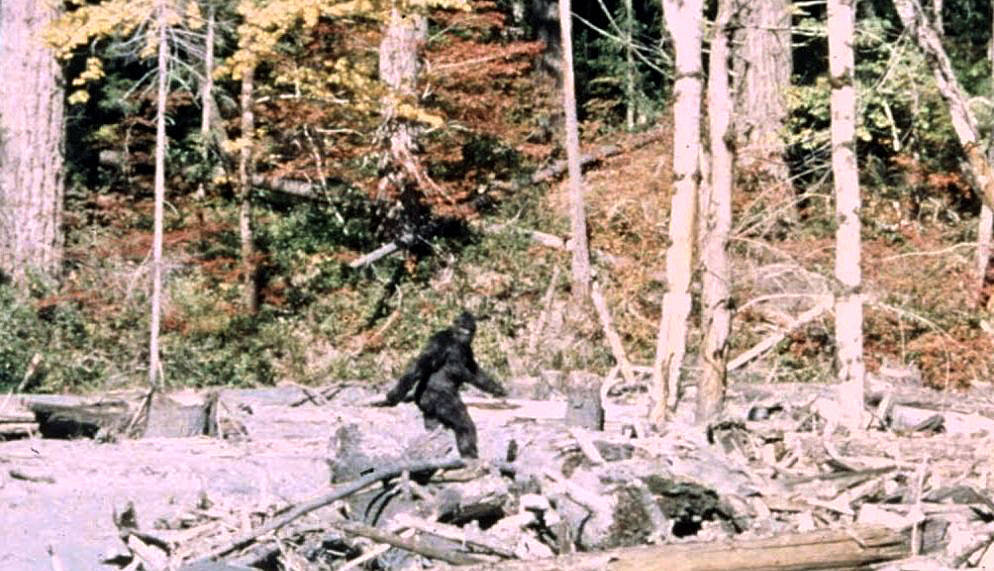 Still from the Patterson-Gimlin Film