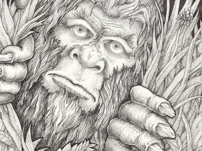 Drawing of a Bigfoot