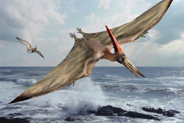 Rendering of a Pteranodon